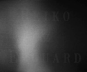 Skaists vakars ar reiko